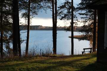 Lake, tall pine trees and a sunny sunset in autumn