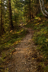 Autumn in Carpathians
