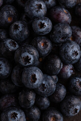 Macro photography of wet blueberries