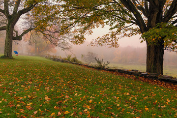 photograph of a misty autumnal day with foliage leaves on the ground and the distant forest covered in mist.
