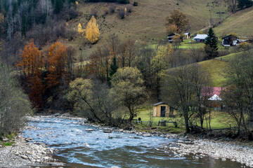 Autumn in Carpathians
