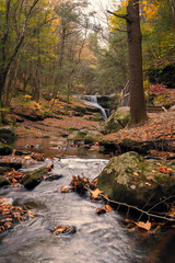 River cascading through a forest during the autumn foliage season