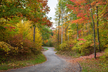 Obraz premium Small curving road among trees in autumn color in northern Minnesota
