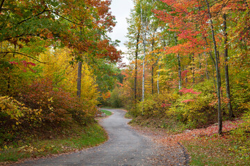 Small curving road among trees in autumn color in northern Minnesota