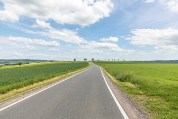 Fototapeta na wymiar green and yellow fields with street and view to horizon