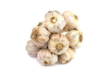 The bunch of fresh white garlic