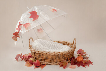 basket for baby decorated with umbrella and autumn