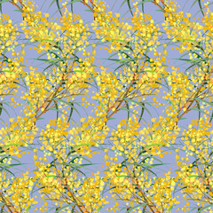 Golden Wattle.Seamless pattern