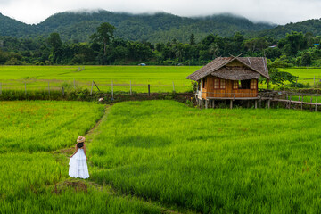 Female wear white dress and stand alone in paddy field, bamboo house for relaxation in rural, Thailand