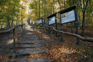 Niemczańsko-Strzelińskie hills, Poland