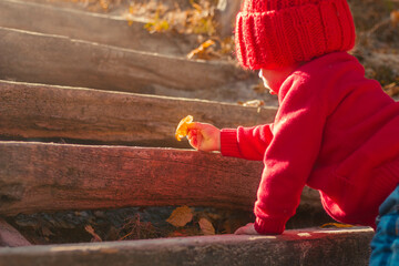 Little Girl on wooden steps in a red hat and sweater found a yellow leaf in the park