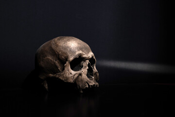 Human Skull In Dark Background