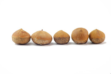 Close up photo of nut on white background.