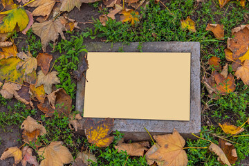 Golden Plaque Ground