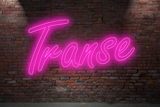 Neon TTrans (in german Transe also Transgender) lettering on Brick Wall at night