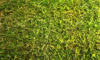 Abstract 3d green grass. Natural background texture.