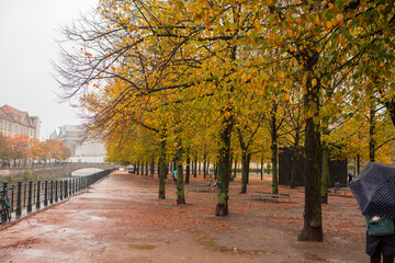Germany, Berlin, street under the Linden tree, autumn, maple trees
