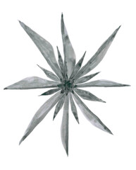 The symbol of travel and the eight cardinal points is the wind rose. A traditional element of winter design is an original openwork snowflake. Geometric symmetrical flower with three layers of petals.