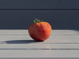 
Ripe tomato on a gray background. Daylight. Harvest. Healthy diet.
