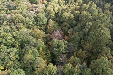 Naklejka premium Autumn View West Virginia 