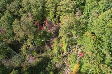 Autumn View West Virginia 