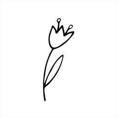 Hand-drawn flowers.Doodle style, sketch, drawing with floral floral elements, minimalism. Isolated. Vector illustration.