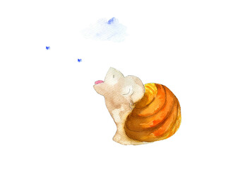 snail