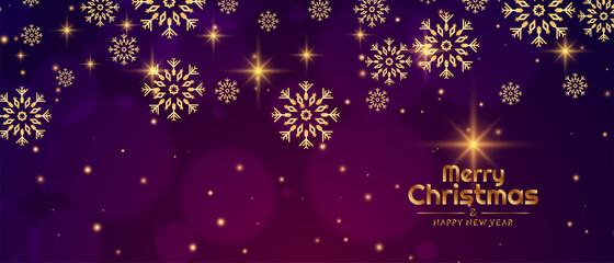 Fototapeta na wymiar Merry Christmas celebration festival greeting banner design