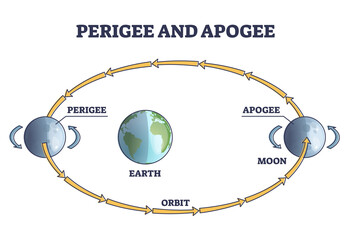 Perigee and apogee moon cycle and orbit around earth outline diagram. Labeled educational astronomy process with elliptical planet movement in space vector illustration. Lunar rotation in cosmos. - obrazy, fototapety, plakaty