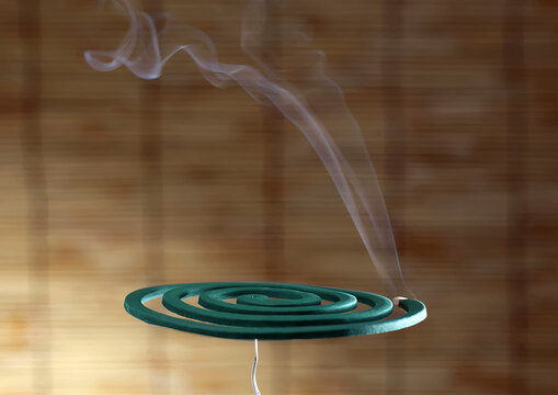 Smouldering repellent spiral from mosquitoes, protection against insects. Burning green spiral mosquito repellent coil and red fire with white smoke