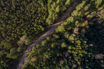 Aerial view from drone of rural road leading through autumn forests and groves in yellow green colors. Dense forest in golden time and empty highway in fall season. Roadway among colorful treetops