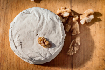 Brie cheese or camembert on cheese platter with walnuts. Closeup view, selective focus