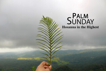 Palm Sunday quote - Hosanna in The Highest. Palm Sunday background with person holding green palm...