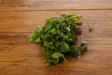 Fresh green Coriander leaves heap