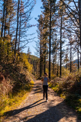 Fototapeta premium A young woman in an autumn sunset on a path through a beautiful forest, getting to know nature