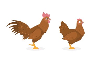 Brown hen and rooster. Vector Stock illustration.