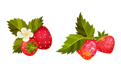 Juicy Strawberry Red Berries with Green Leaf Vector Set