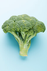 Broccoli vegetables on a blue background. Asparagus cabbage.