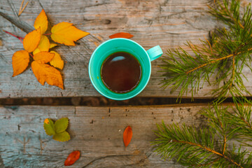 Mug with Tea, Top View, on a Wooden Background Among Pine Branches, Yellow Raspberry Leaves and Cones. Coffee on the Table in the Park. Picnic in the Nature. Autumn mood. 