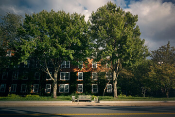 Bench and spring trees in the street of the neighborhood. Condominium Area Apartments. Vintage filter.