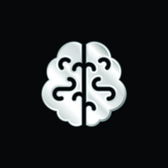 Brain silver plated metallic icon