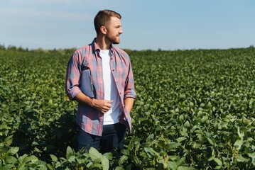 Agronomist inspecting soya bean crops growing in the farm field. Agriculture production concept. young agronomist examines soybean crop on field in summer. Farmer on soybean field