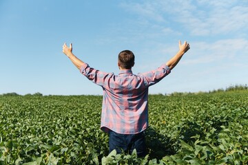 Agronomist inspecting soya bean crops growing in the farm field. Agriculture production concept. young agronomist examines soybean crop on field in summer. Farmer on soybean field