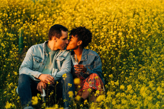 Happy young diverse couple kissing in meadow in sunlight
