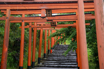 Fototapeta na wymiar 福岡県うきは市の浮羽稲荷神社の鳥居が連続する風景