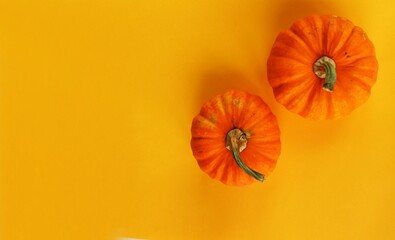 Two orange pumpkins on a yellow background. Top view. Autumn harvest. Halloween.