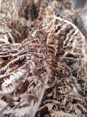 dried fish on ice