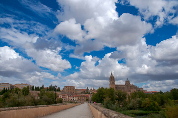 Fototapeta na wymiar vista del centro histórico de la ciudad de Salamanca, España