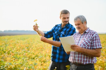 farmers working on the plantation, holding a small seedling of soybeans.