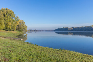 Autumn landscape in the early morning with a view of the river. Large trees with yellow leaves in the backlight. Yellow leaves on trees and bushes are illuminated by the rays of the rising sun.